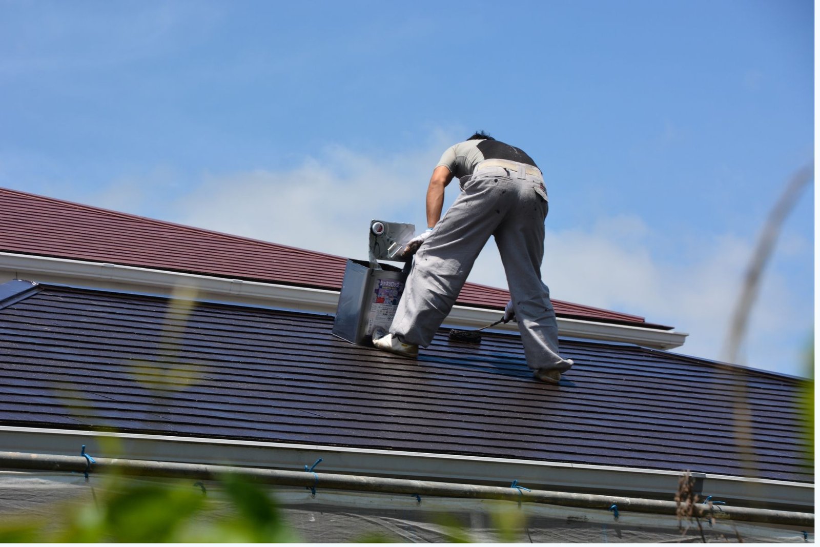 Roof Cleaning Hamilton