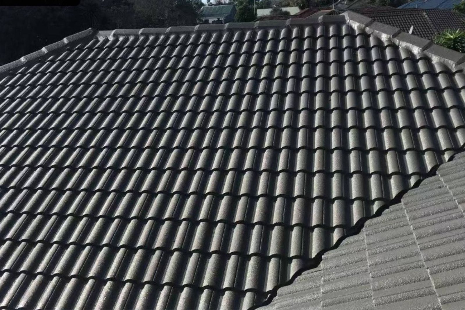 hamilton window cleaning